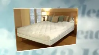 Mattress Cleaning Company Maidenhead | 01628 201082 | Cleaners | Carpet Cleaning