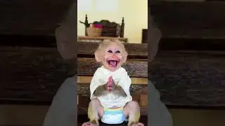 Cutest Round of Applause Ever! This Baby Monkey Can&rsquo;t Stop Laughing! 👏😂