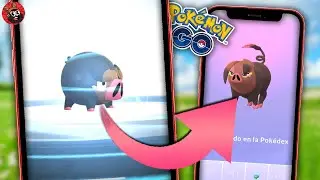 &iexcl;EVOLUCIONA YA TU LECHONK HEMBRA!