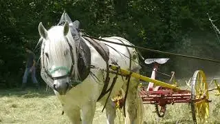faneuse à fourche