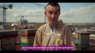 World Bee Day 2022