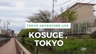 Walking Around Tokyo (Kosuge) 小菅