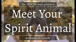 Meet Your Power Animal - Guided Journey to Your Animal Spirit Guide