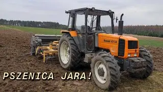 Siew pszenicy po wyoranej łące☘RENAULT🚜85-34➕StalTech 2.7m☆