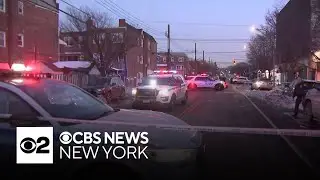 11-year-old hit by school bus, killed in Brooklyn