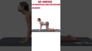 Cat-cow pose||counting challenge||countdown begins|| daily exercise||daily stretching daily workout