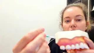 interdental brushes piksters how to use them -  by a dentist