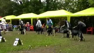 MOV05A Сравнение