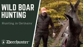 Driven Wild Boar Hunting in Germany