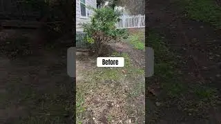 Let the transformation begin🚧 #CedarPark #LandscapeTransformation #landscaping #lawncare #gardening