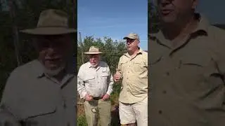 Habitat Expansion at Kariega Game Reserve