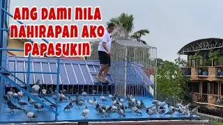 ANG DAMI NA NILA NAHIRAPAN AKO PAPASUKIN |Reggie Cruz Loft & Aviary #reggiecruzloftandaviary