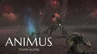 animus stand alone прохождение 1 часть