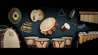 Free Sample Packs | Essential Conga Loops Vol.1 | BPM 125