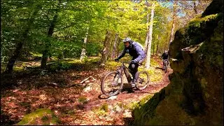 RadLust MTB Trail WaldMeister |Abwechslungsreiche Mountainbike Tour | Hunsrück |+Fazit