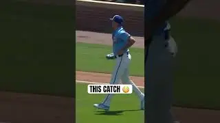 HOW did Matthew Boyd catch this?!? 😳