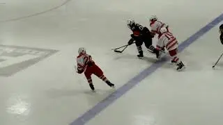 Traverse City North Stars 11U A Defensive Gems 2019