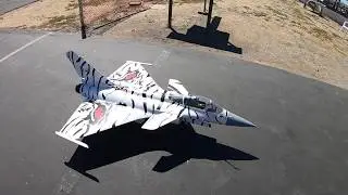 Can't get enough of this 105mm EDF Rafale C-01