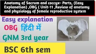  Live class, Anatomy of Sacrum and Coccyx | Parts, Foramina & Functions Explained