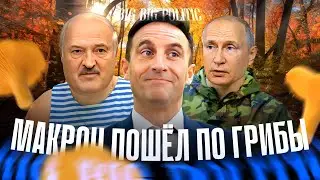 Макрон пошел по грибы. Big Big Politic 79