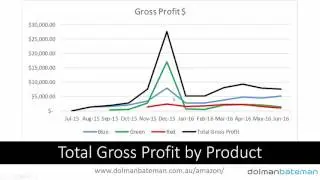 Amazon Case Study #1 - $234K in first year