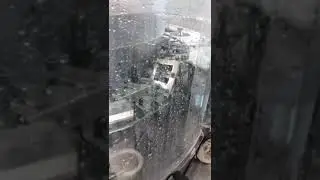 Vials washing machine before filling