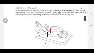 MMT for Shoulder extensors 