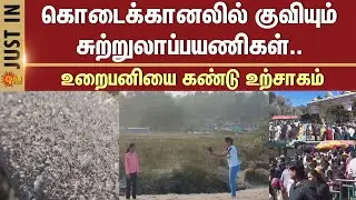 Kodaikanal | Tourist | Visit | Frost | Sightseeing Spot | Happy | Tamil Nadu