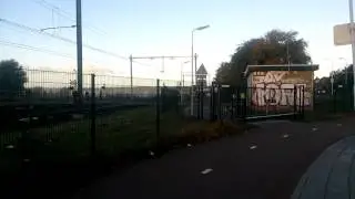 Regio Runner in Wormerveer