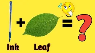 New video 💯 of experiment leaf and pen ink 😮  #science #scinceexpriment 💥💯
