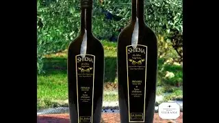 SHIENA Arbequine Extra Virgin Olive Oil PREMIUM SELCTION
