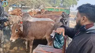 @ আজ ১৪ জানু