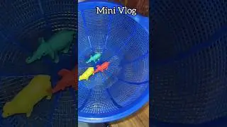 Happy WednesDay || Daily MiniVlog || #viral #ytshorts #dailyvlog #minivlog #newyoutuber #routine