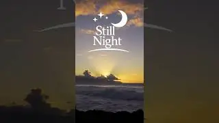 4K Calm Hawaii Beach at Night 8h 🌙 | Relaxing Sleep Sounds (No Talking) | 고요한 밤 Still Night