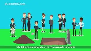 El fen&oacute;meno del 