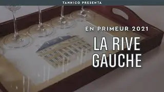 En Primeur 2021, i migliori vini della Sponda Sinistra a Bordeaux | Tannico