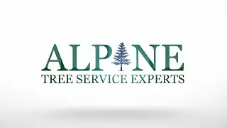Alpine Tree Service Expert Inc | Sammamish, WA | 06/09/2025