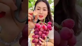 New varieties climbing vine king grape climbing vine and cold resistance varieties can grow vine fru