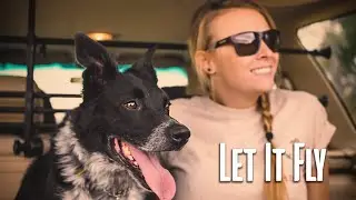 Let It Fly (Short Documentary)