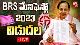 KCR Live | BRS Manifesto 2023 | B Forms to MLA Candidates | Telangana Elections 2023 | BIG TV
