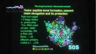 Life Sciences Baltics 2012, prof.  ADA E. YONATH