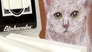 Alphacolor White Pastels - Jacob the white cat