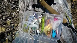 2022 Ep  1   Kingfish on the Fly Rod