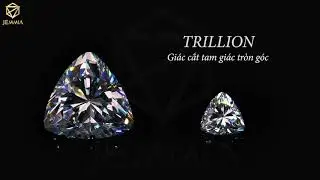 Jemmia Diamond - Kh&aacute;m ph&aacute; vẻ đẹp qua từng gi&aacute;c cắt