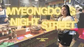 my FIRST TIME in KOREA | Korea Vlog Day 0