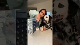 This dog advent calendar has 24 unique proteins!! 🐪🦆🐮🐑🐰🐷🦃🐐🐊 and MORE!