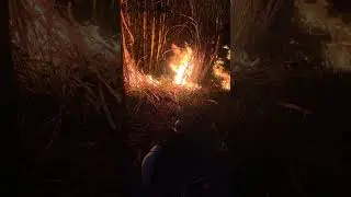 cultivo en llamas