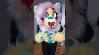 Happy Birthday to me! ✨🎉🎈🎁🎂🍰 #fursuiter #fursuit #fursuiting #furry #furryfandom