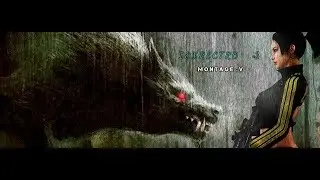 ♛ Wolfteam Latino / iExpecTro &deg; MiniTage【KING】 ♛