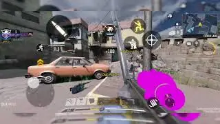 Rytec amr in codm has a glitched scope!